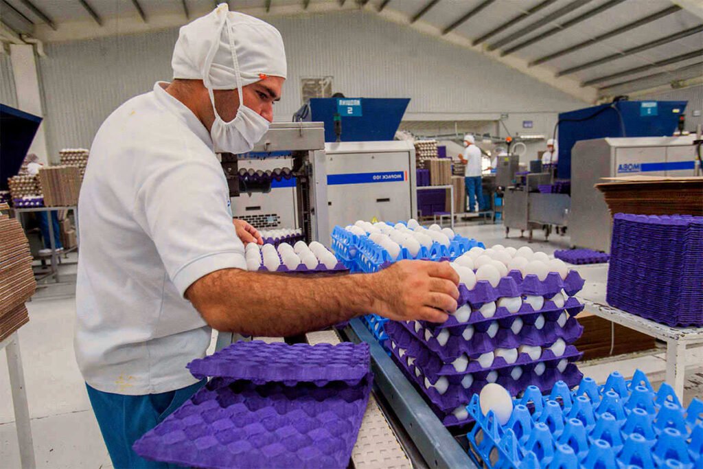 SE SOLICITA PERSONAL PARA EMPACAR HUEVOS / POSTULA